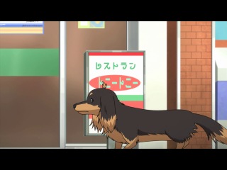dog and floating scissors / dog and scissors / inu to hasami wa tsukaiyou - episode 9 (voiceover) [majestic-kun]